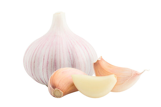garlic, isolated on white background, full depth of field