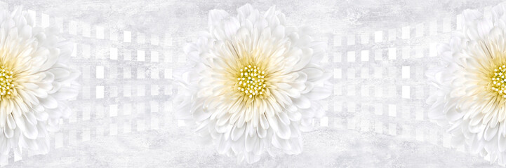 white flower repeating pattern, beauty daisy romance baclground, digital print wallpaper design