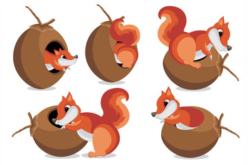 Vector illustration of a squirrel. Squirrel eating coconut cartoon collection