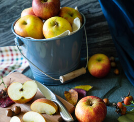 Apples in a pale blue bucket on a slate background