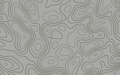Topographic map lines background. Abstract vector illustration. Contour vector map. Background of the topographic map. Topographic map lines, contour background. Geographic grid, vector abstract.