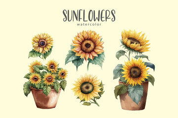 watercolor sunflowers set on simple background