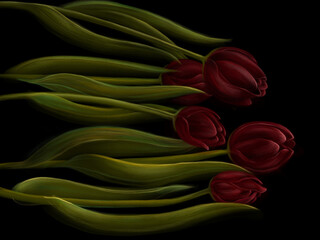 Red tulips 