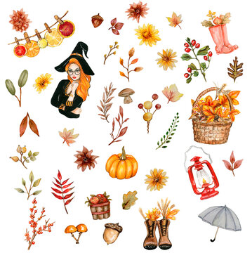Watercolor hand drawn autumn leaves and pumpkins. Hand drawn illustration of autumn. Perfect for scrapbooking, kids design, wedding invitation, posters, greetings cards, party decoration.