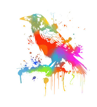 colorful crow ink pen. Vector illustration