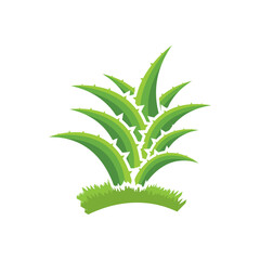 Aloe Vera logo icon design symbol beauty