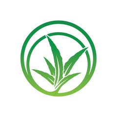 Aloe Vera logo icon design symbol beauty