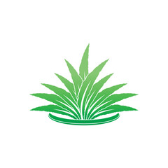 Aloe Vera logo icon design symbol beauty