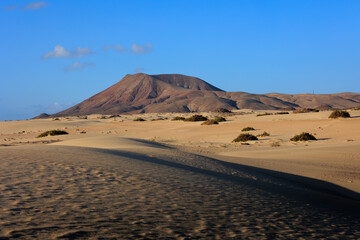 Fototapeta na wymiar The sand dunes of Parque Natural de Corralejo Corralejo Fuerteventura Canary Islands Spain