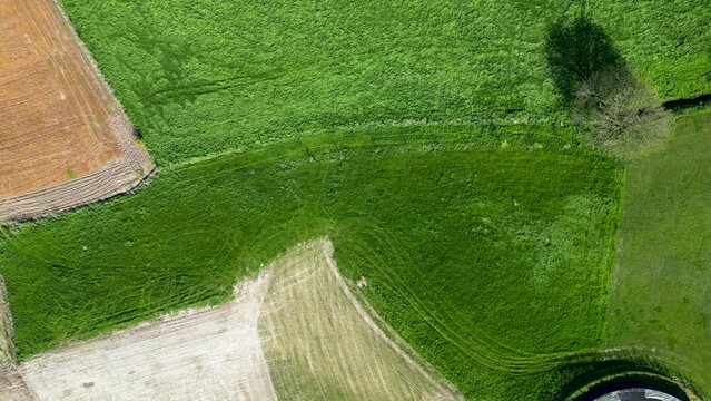 Fantastic colorful aerial footage of green wavy field in sunny day. Top view drone shot. Agricultural area of Belgium, Europe. Concept photo of agrarian industry. Artistic wallpaper. Beauty of earth