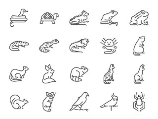 Exotic pet icon set. It included the turtle, frog, lizard, and more icons.
