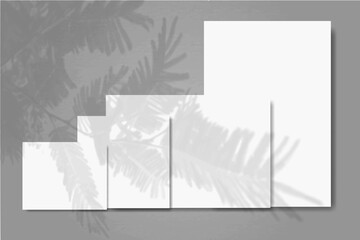 Several horizontal and vertical sheets of white paper against a grey wall background. Mock up with an overlay of plant shadows. Natural light casts shadows from a tui branch