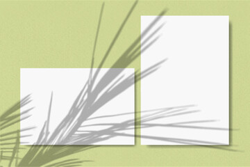 Horizontal and vertical sheets of white paper against a soft green wall background. Mock up with an overlay of plant shadows. Natural light casts shadows from a palm branch