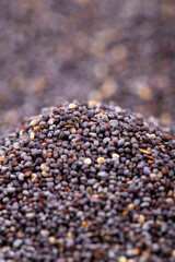 Blue poppy seeds. Spices concept. Background made of blue poppy seeds. Close up