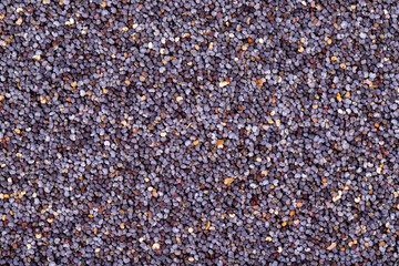 Blue poppy seeds. Spices concept. Background made of blue poppy seeds. Top view