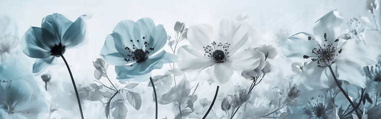 Blurred Beauty: Blooms against a White Sky
