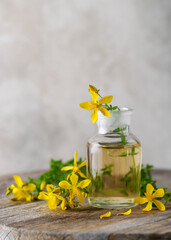 Medicine bottle with essential oil or infusion St. Johns wort flowers on wooden board outdoors. (Hypericum perforatum) Copy space. selective focus.