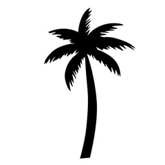 vector coconut tree silhouette
