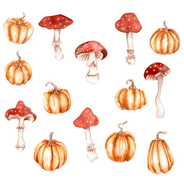 Watercolor hand drawn autumn pumpkins and mushrooms. Hand drawn illustration of autumn. Perfect for scrapbooking, kids design, wedding invitation, posters, greetings cards, party decoration.