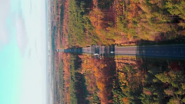 Speed multiline highway with moving cars and vehicles. Vertical video