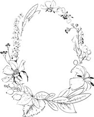 Floral wreath, botanical hand drawn frame, hand drawn floral frame with meadow flowers, herbs, branches, plants. Vector illustration in line art style, transparent background, 