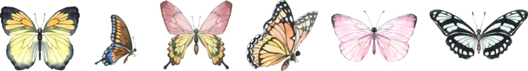 watercolor vector butterflies clipart, Colorful boho butterflies, summer nature, beetles, vector set, yellow, orange, lilac, blue digital art