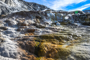 Mammoth Hot Springs