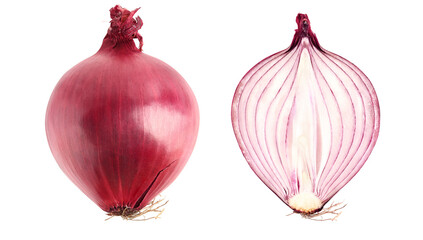 Set of fresh red onion isolated on transparent background, PNG