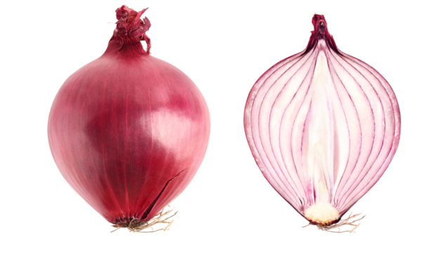 Set of fresh red onion isolated on transparent background, PNG