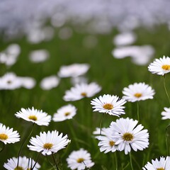 Fototapeta premium While flowers look beautiful in the field. Generated AI