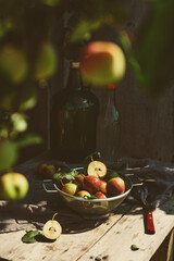 A large bottle of fruit cider on a rustic table with a harvest of pears, on an autumn sunny day