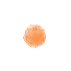 Circle 