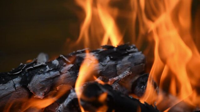 Selective focus of fire on logs, logs burn into coals. A flame of fire in the wind. Coals and ashes from a fire. HD 11 sec.
