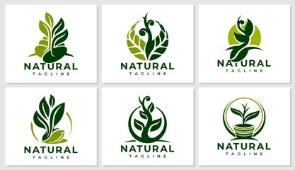 Minimalist plant leaf logo design bundle