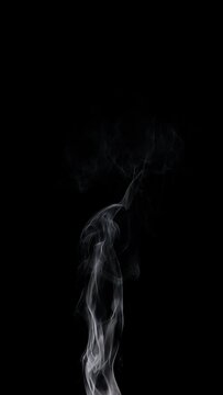 Smoke animation with alpha channel.