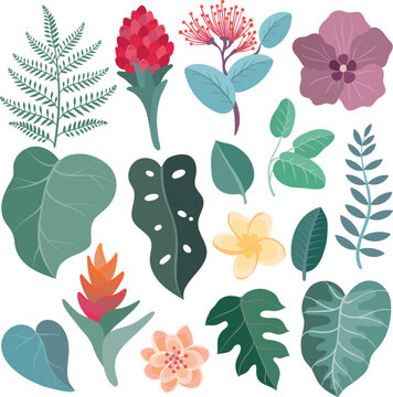 Tropical flovers and leaves set, collection of exotic plant.