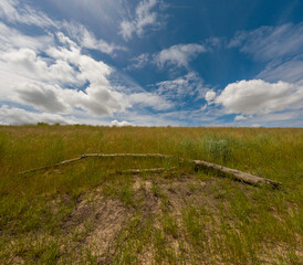 Dry grass and flowers growing on a levee with puffy clouds in the sky