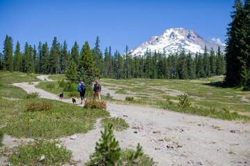 Hikers Below Mount Hood