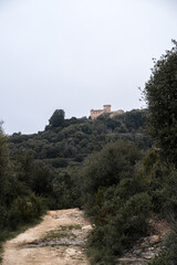 Fototapeta na wymiar Path Leading into the Forest with Castle of El Bertí in the Background under Overcast Sky