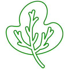 tropical leaf illustration