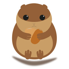 CUTE BROWN RODENT WITH ACORN IN HANDS