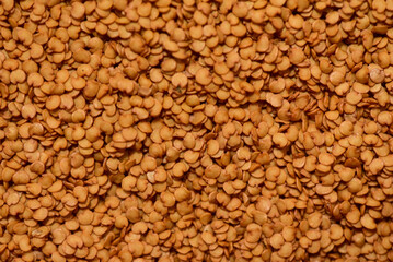 dried eggplant seed surface Seed Idea For Farmer Agriculture Background Design