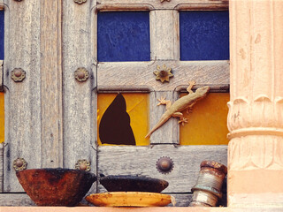 Near view of a lizard on an window
