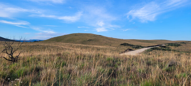 View of the tropical rainforest plateau at sunset.