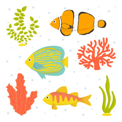 Collection of vector illustrations. Fish and seaweed isolated on white background. Flat cartoon