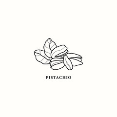 Line art pistachio nuts illustration