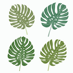 Simplicity monstera leaf freehand continuous line drawing flat design.