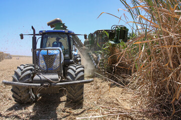 HARVESTING WORKS WITH MACHINERY IN CANE PLANTATIONS FOR THE ELABORATION OF ETHANOL BIODIESEL IN...