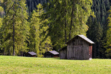 Mountain meadows and larch forest with wooden farming huts, Alps, South Tyrol, Italy, Europe