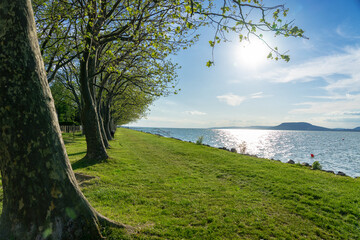 free beach on Lake Balaton with trees and nature in Balatonboglar Hungary